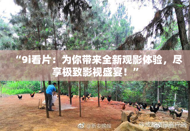 “9i看片：为你带来全新观影体验，尽享极致影视盛宴！”