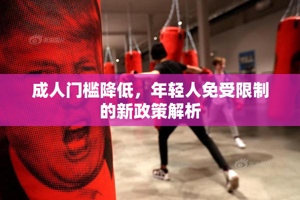 成人门槛降低，年轻人免受限制的新政策解析