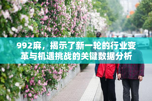 992麻，揭示了新一轮的行业变革与机遇挑战的关键数据分析