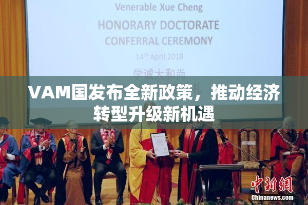 VAM国发布全新政策，推动经济转型升级新机遇