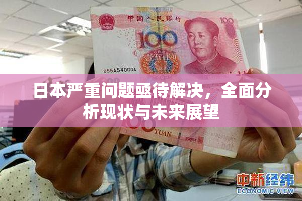 日本严重问题亟待解决，全面分析现状与未来展望