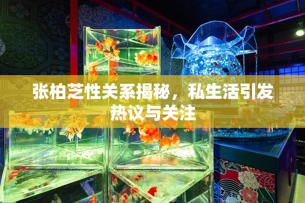 张柏芝性关系揭秘，私生活引发热议与关注
