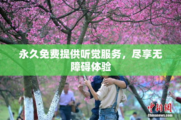 永久免费提供听觉服务，尽享无障碍体验