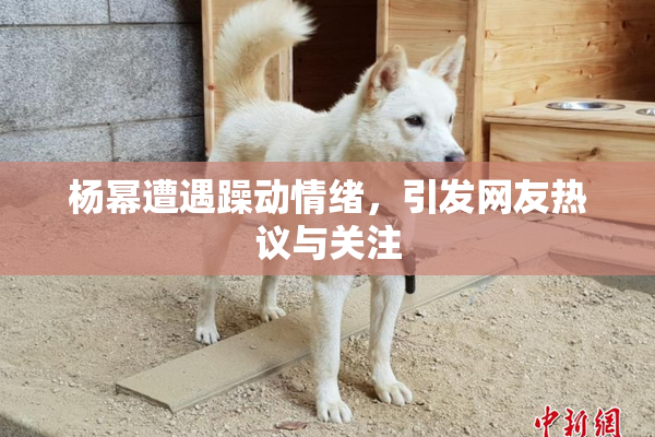 杨幂遭遇躁动情绪，引发网友热议与关注