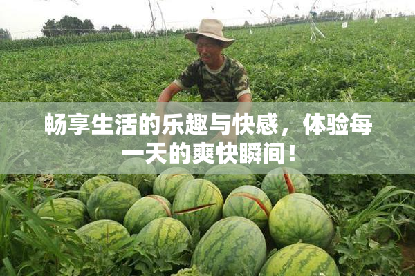 畅享生活的乐趣与快感，体验每一天的爽快瞬间！