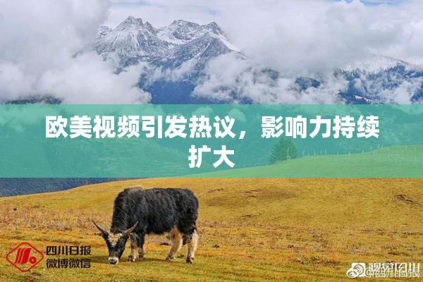 欧美视频引发热议，影响力持续扩大