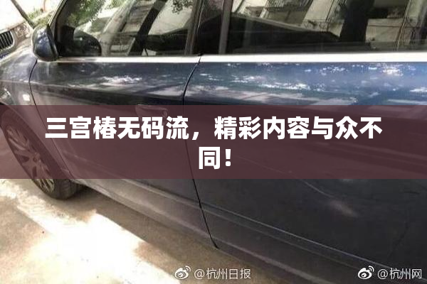 三宫椿无码流，精彩内容与众不同！