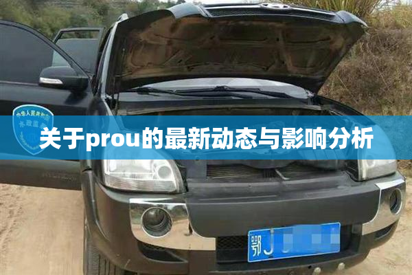 关于prou的最新动态与影响分析