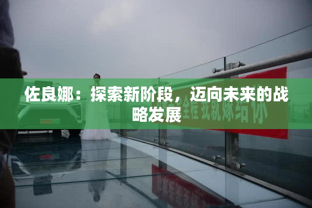 佐良娜：探索新阶段，迈向未来的战略发展