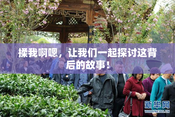 揉我啊嗯，让我们一起探讨这背后的故事！