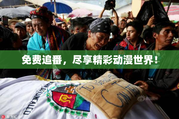 免费追番，尽享精彩动漫世界！