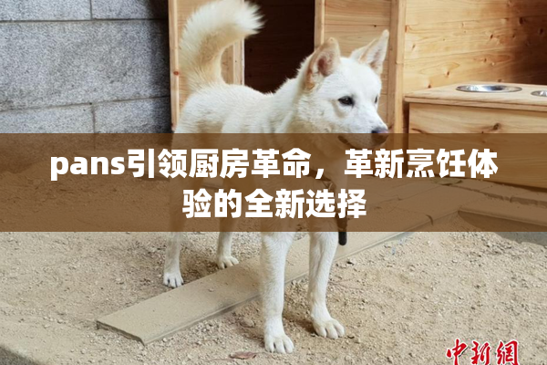 pans引领厨房革命，革新烹饪体验的全新选择