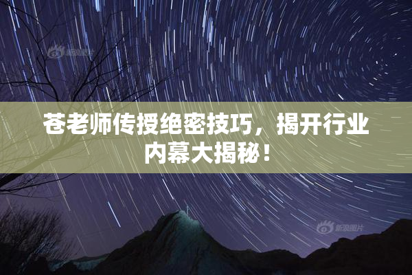 苍老师传授绝密技巧，揭开行业内幕大揭秘！