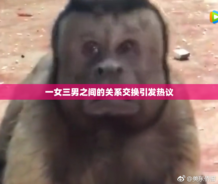 一女三男之间的关系交换引发热议