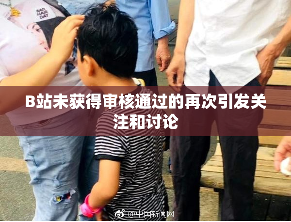 B站未获得审核通过的再次引发关注和讨论