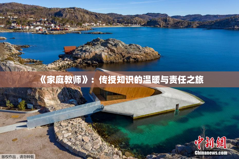 《家庭教师》：传授知识的温暖与责任之旅