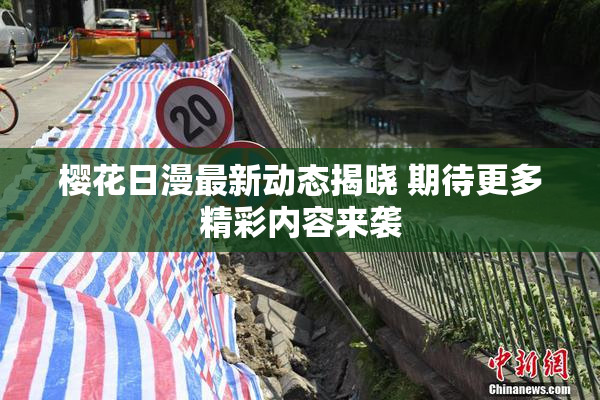 樱花日漫最新动态揭晓 期待更多精彩内容来袭