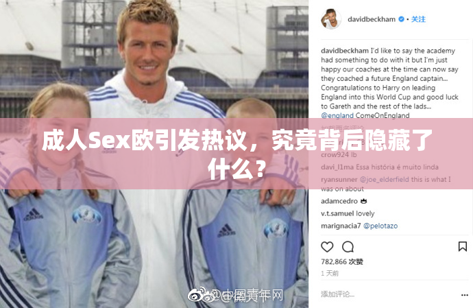 成人Sex欧引发热议，究竟背后隐藏了什么？