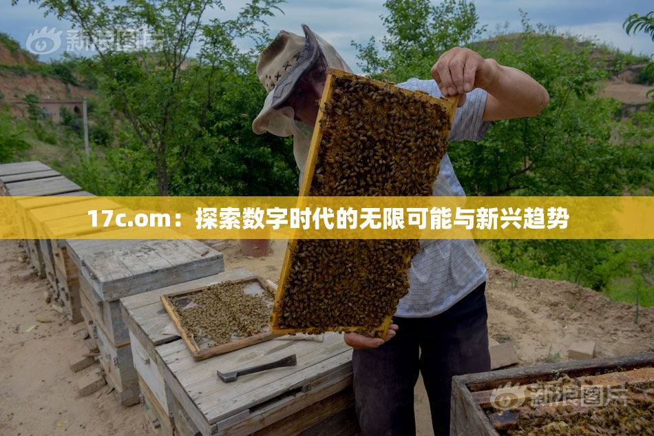 17c.om：探索数字时代的无限可能与新兴趋势
