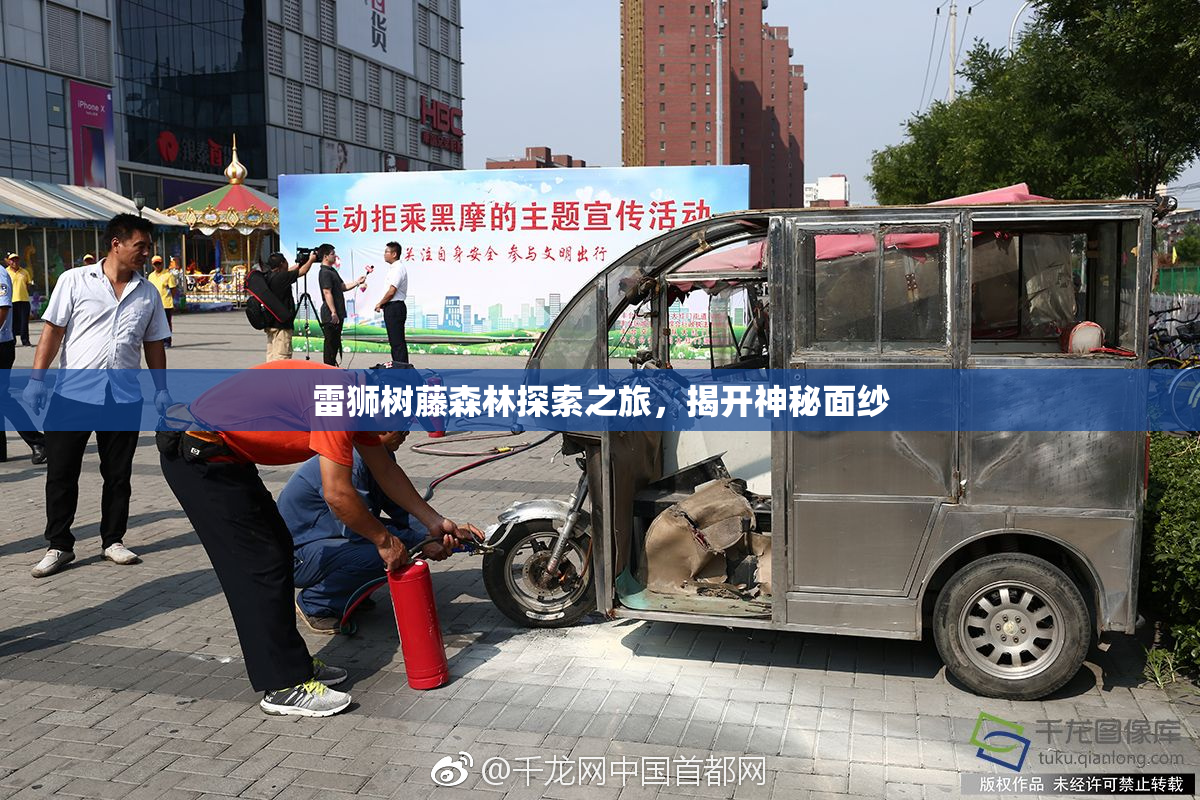 雷狮树藤森林探索之旅，揭开神秘面纱
