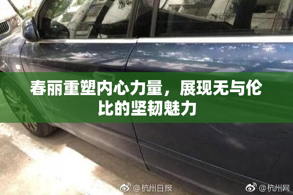 春丽重塑内心力量，展现无与伦比的坚韧魅力