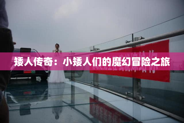 矮人传奇：小矮人们的魔幻冒险之旅