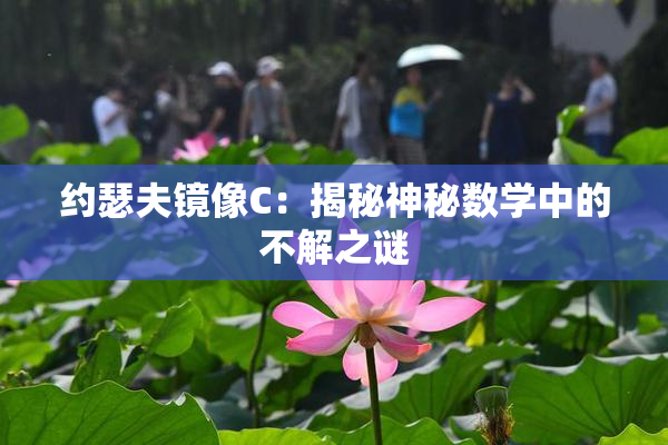 约瑟夫镜像C：揭秘神秘数学中的不解之谜