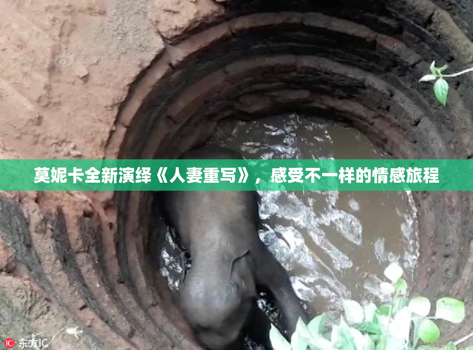 莫妮卡全新演绎《人妻重写》，感受不一样的情感旅程