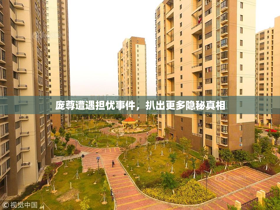 庞尊遭遇担忧事件，扒出更多隐秘真相