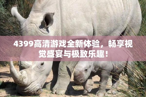 4399高清游戏全新体验，畅享视觉盛宴与极致乐趣！