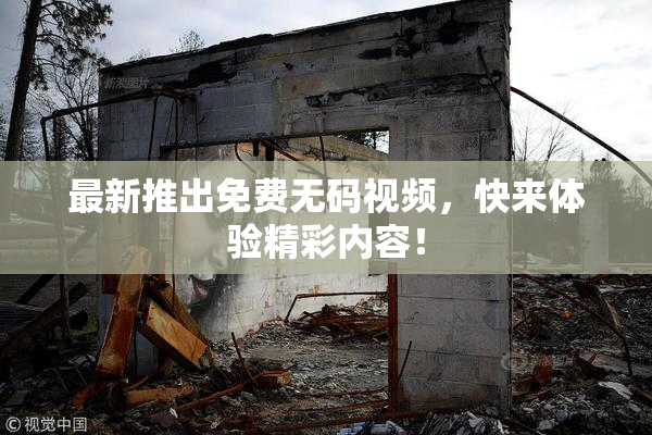 最新推出免费无码视频，快来体验精彩内容！