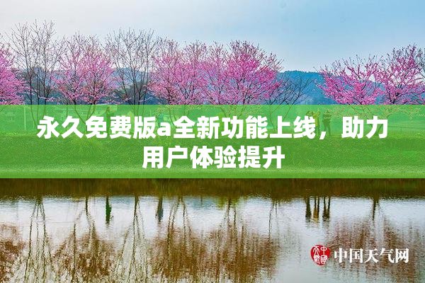 永久免费版a全新功能上线，助力用户体验提升