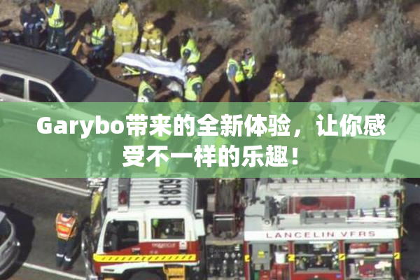 Garybo带来的全新体验，让你感受不一样的乐趣！