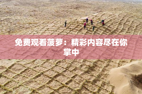 免费观看菠萝：精彩内容尽在你掌中