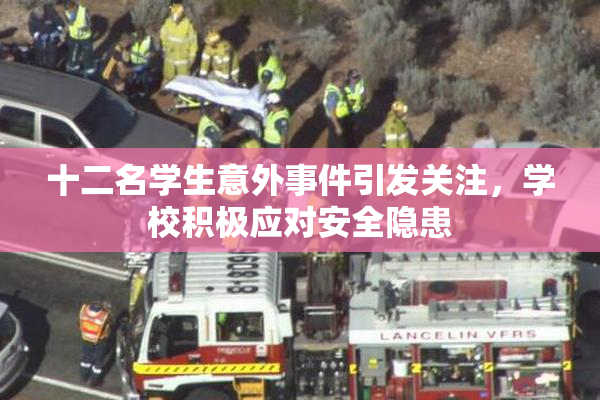 十二名学生意外事件引发关注，学校积极应对安全隐患