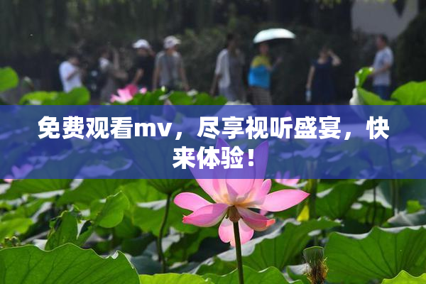 免费观看mv，尽享视听盛宴，快来体验！