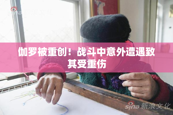 伽罗被重创！战斗中意外遭遇致其受重伤