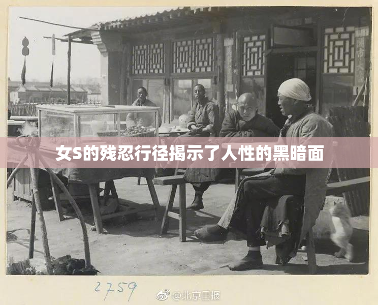 女S的残忍行径揭示了人性的黑暗面