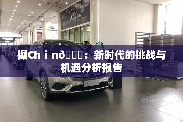 搡Chⅰn🈚：新时代的挑战与机遇分析报告