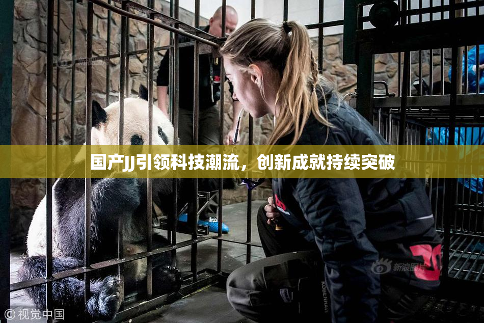 国产JJ引领科技潮流，创新成就持续突破