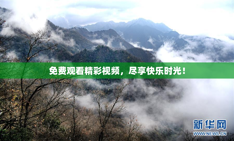 免费观看精彩视频，尽享快乐时光！