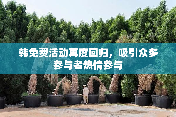 韩免费活动再度回归，吸引众多参与者热情参与