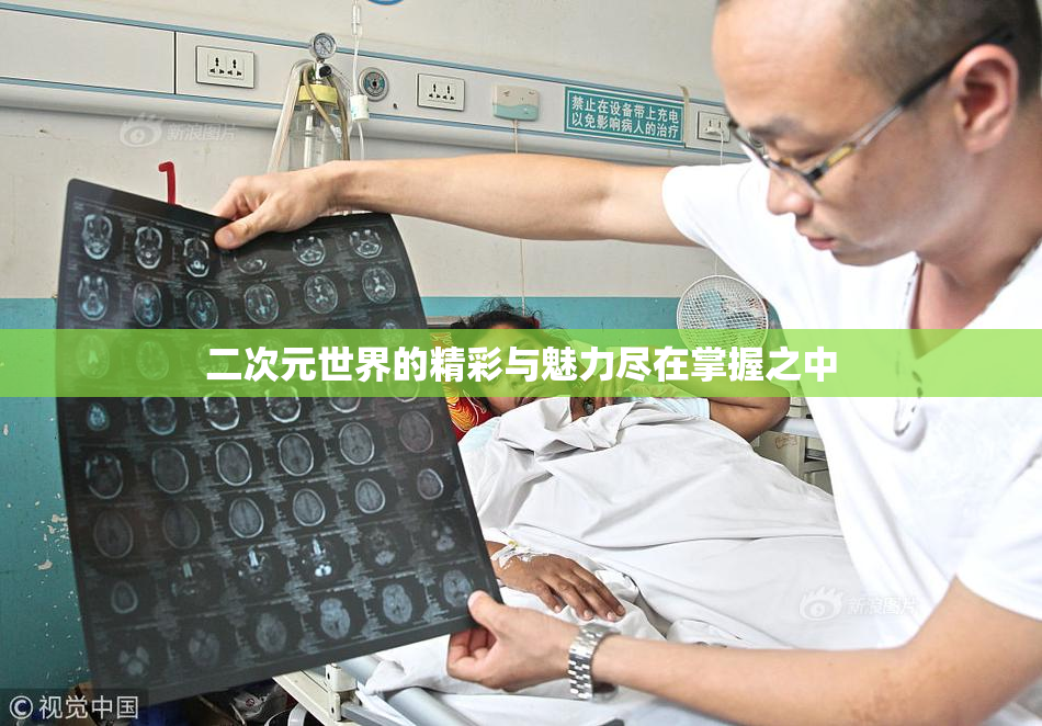 二次元世界的精彩与魅力尽在掌握之中