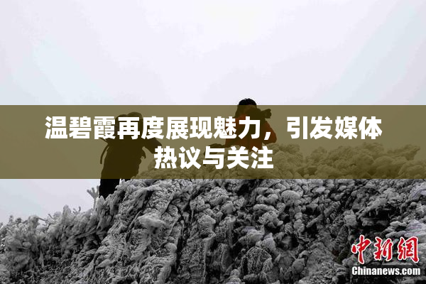 温碧霞再度展现魅力，引发媒体热议与关注