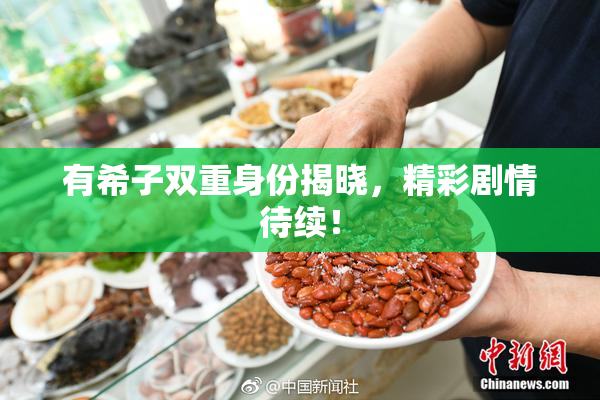 有希子双重身份揭晓，精彩剧情待续！