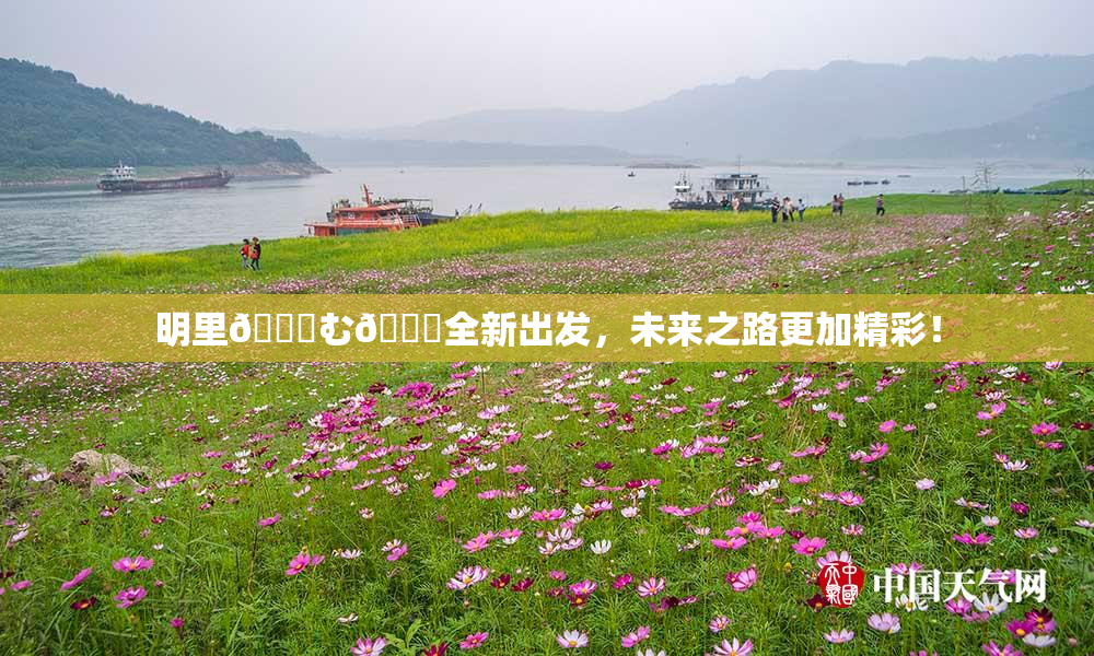 明里😚む🍍全新出发，未来之路更加精彩！