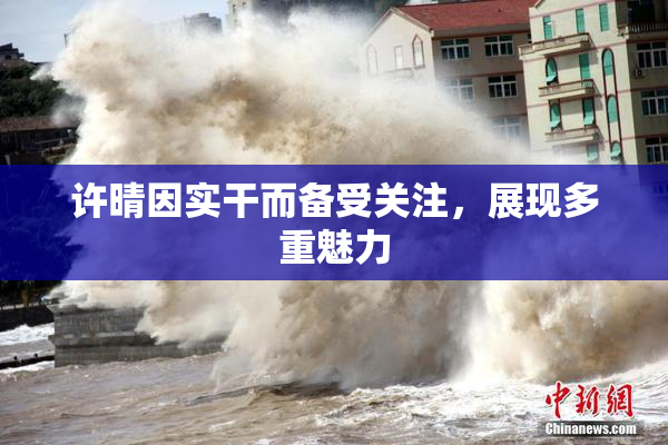 许晴因实干而备受关注，展现多重魅力