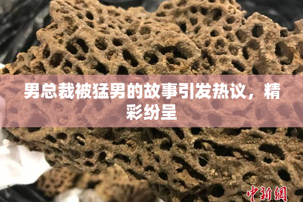 男总裁被猛男的故事引发热议，精彩纷呈