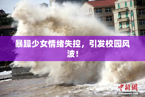 暴躁少女情绪失控，引发校园风波！