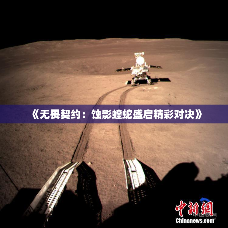 《无畏契约：蚀影蝰蛇盛启精彩对决》